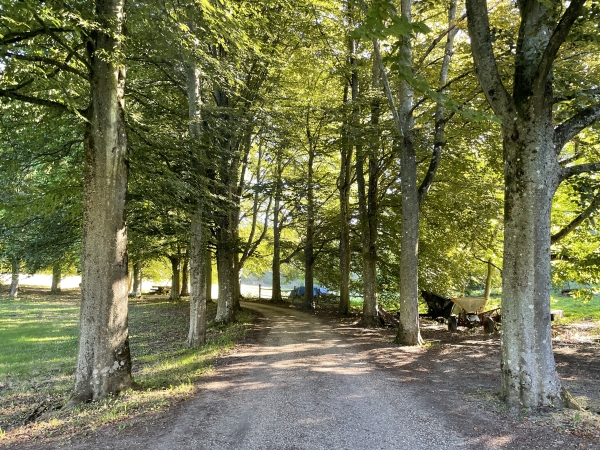 J'entre dans l'allée qui monte vers le domaine du Paradou. Cette partie du domaine dessert maintenant les maisons aménagées dans ce qui était, sans doute, des dépendances du domaine.