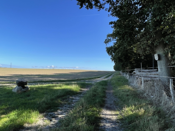 Je quitte le bois du Paradou et vais tourner à gauche. Le panneau à droite indique qu'il y a de la chasse dans le bois le jeudi.