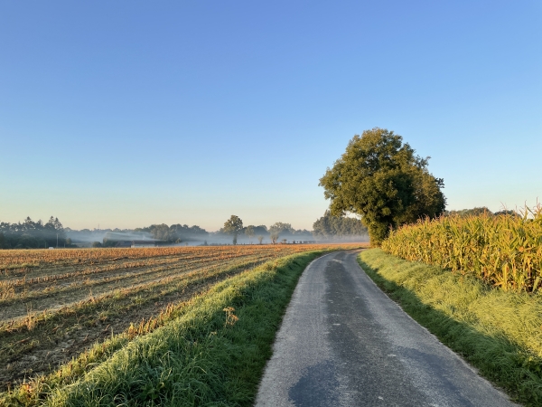 Je pars du parking, derrière la mairie de la Poterie-Mathieu, et commence le circuit par la rue de la Haute Voie.