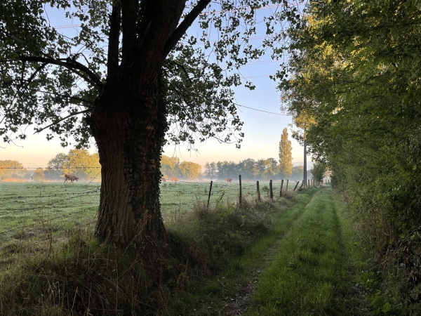 Et voilà le premier chemin de la randonnée. Il traverse les Longs Champs pour rejoindre la rue des Roux.