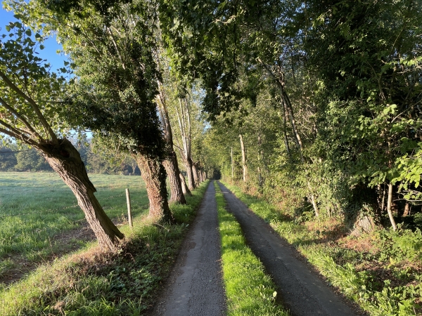 Après la rue des Roux, j'ai rejoint le chemin du Lieu Saint Martin, qui doit être venteux si l'on en juge par les arbres. A droite, derrière les fourrés, coule un ruisseau qui deviendra le Sébec.