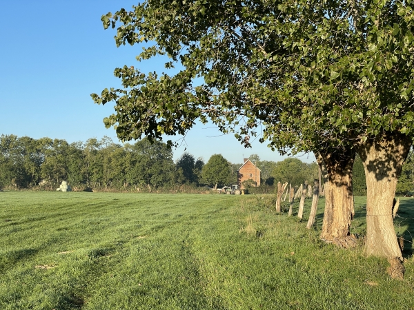 Après la ferme du Lieu Saint Martin, le chemin traverse ce pré et rejoint une impasse devant la maison.