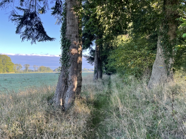 Je suis brièvement la rue du Bus, et tourne sur ce sentier pour rejoindre la rue de la Croix.