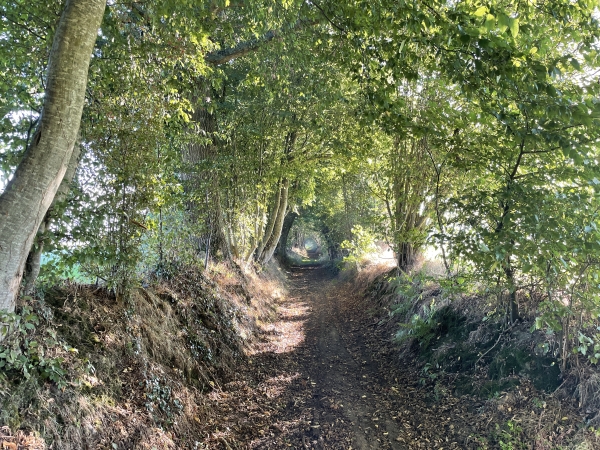 La rue de la Croix se prolonge par ce beau chemin creux.