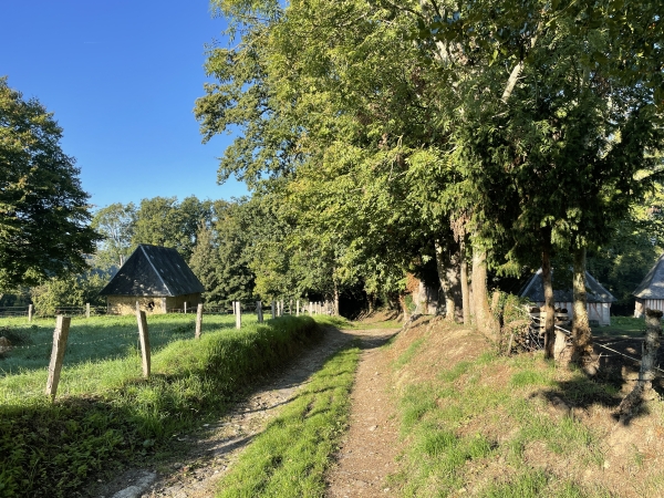 A quelques mètres du parking, nous sommes déjà sur ce premier délicieux chemin.