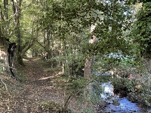 Nous avons rejoint la Véronne, que l'on voit à droite. Depuis le départ nous sommes dans cette ambiance boisée où l'eau n'est jamais bien loin.