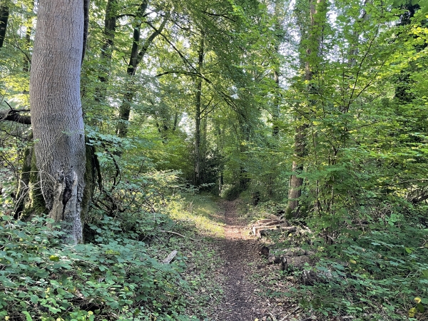 Les chemins se succèdent, toujours très agréables.
