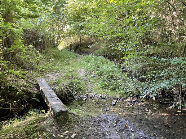 Nous arrivons près de la Fontaine de la Siverie et traversons son ruisseau.