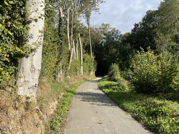 Nous sommes arrivés sur première route de l'itinéraire, c'est la rue des Vallées. Nous la suivons vers le nord.
