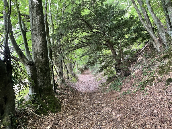 Nous quittons la rue des Vallées pour monter sur le plateau en suivant le Sentier des Mières.