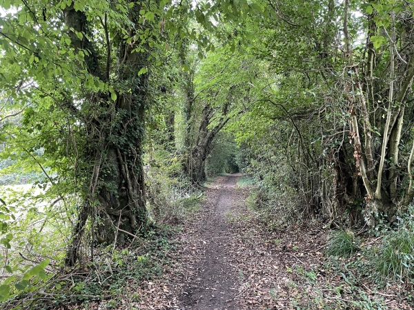 Après le chemin du Caillou Marais, nous redescendons dans la vallée par ce chemin.