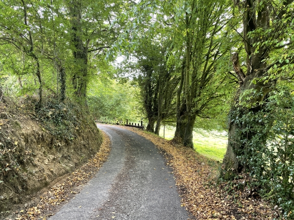 Nous suivons la rue de la Véronne, qui se pare déjà des couleurs de l'automne.