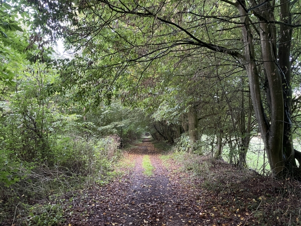 J'arrive sur le chemin du Vert Buisson, mais pas encore dans le lit du ruisseau.