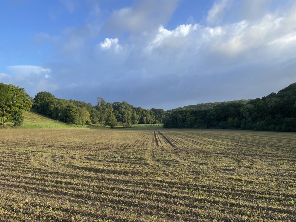 Regard arrière sur le vallon du Vert Buisson et le bois de la Salle Verte.