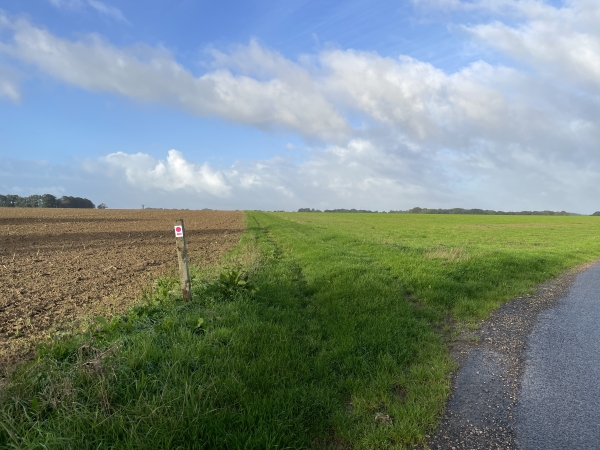 J'ai traversé la D29, et me prépare à marcher dans la plaine agricole.