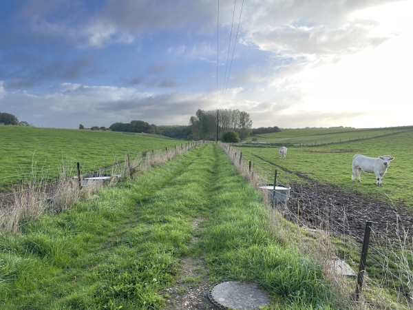 Le  chemin des Bétoires me guide vers le bois Hébert. Un bétoire est un gouffre où se perdent les cours d'eau en pays calcaire.