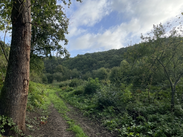 Je contourne le bois Hébert. A droite, on devine la Butte de Rocquefort. C'est là que se trouvait, sans doute, la forteresse médiévale.