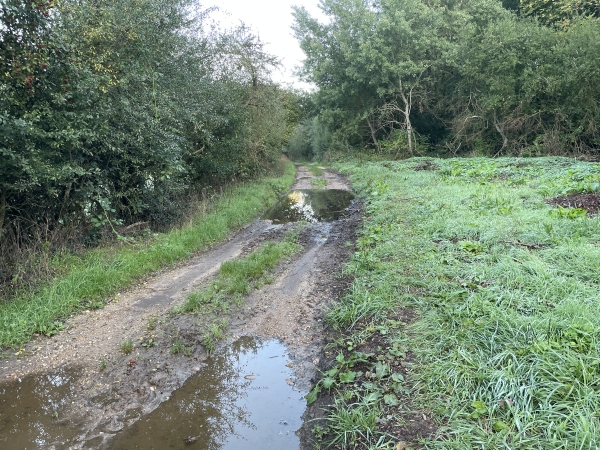 Dans le vallon, de grandes flaques rappellent les pluies abondantes de la semaine précédente. Pas de problème, je peux passer à côté. Le GR211 suit ce chemin.