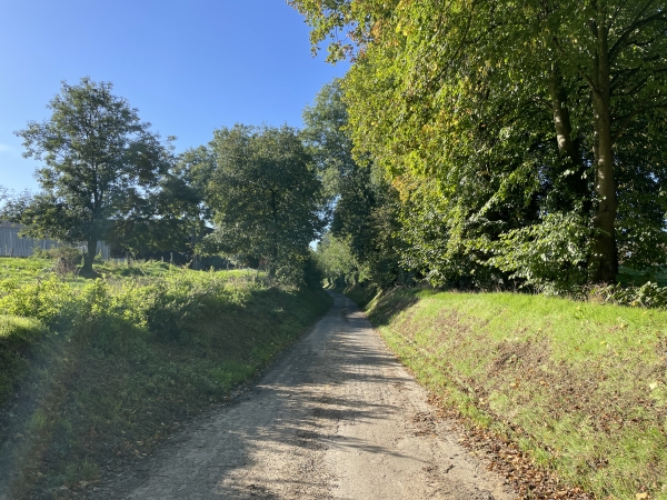 J'ai quitté le GR211 et marche maintenant sur la petite route d'Héricourt.