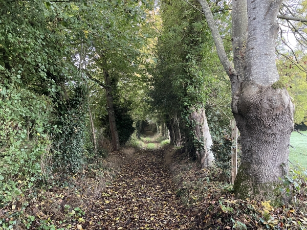Nous suivons un peu la petite route du Chemin du Mont Gannel, puis tournoons ici en direction des Catelets.