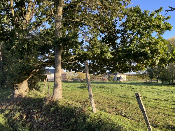 Nous ne résistons pas au plaisir d'ajouter le Sentier Nature à notre itinéraire.