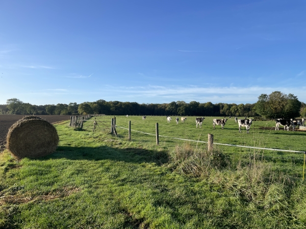 Après la rue de la Berquerie, et la rue du Chemin des Coudraies, nous tournons vers le bois en suivant le chemin des Charlesmonts.