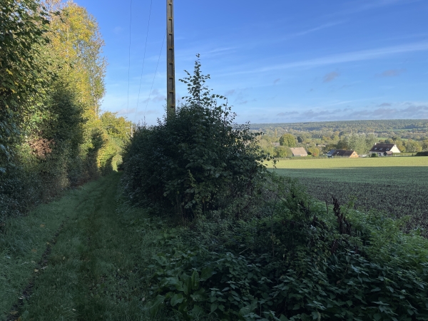 Nous sortons du bois par le chemin de la Forge qui descend vers Freneuse. Derrière nous, à proximité de la D137, le chemin a été labouré par des engins de chantier forestier, et laissé dans un triste état qui contraste avec le soin apporté pour le reste de l'itinéraire.