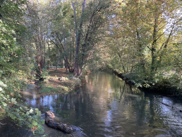 L'Epte vue depuis le Pont d'Aveny.