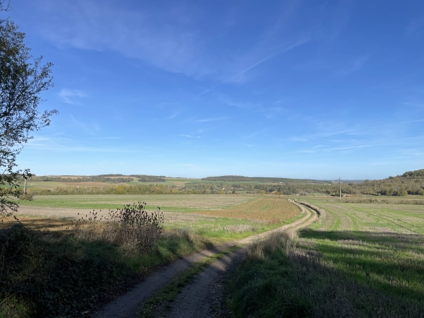 Nous suivons une succession de chemins sur le plateau agricole, et descendons vers Saint-Clair-sur-Epte.