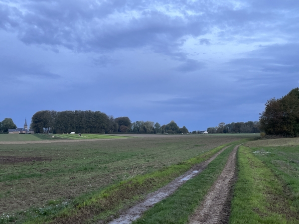 Nous arrivons sur notre premier chemin à l'entrée de Cleuville. On distingue, à gauche, le clocher de l'église Saint-Léger de Cleuville.