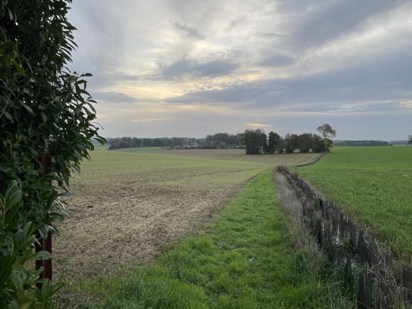 Nous marchons dans la plaine de Longuemare, en direction de Sommesnil.