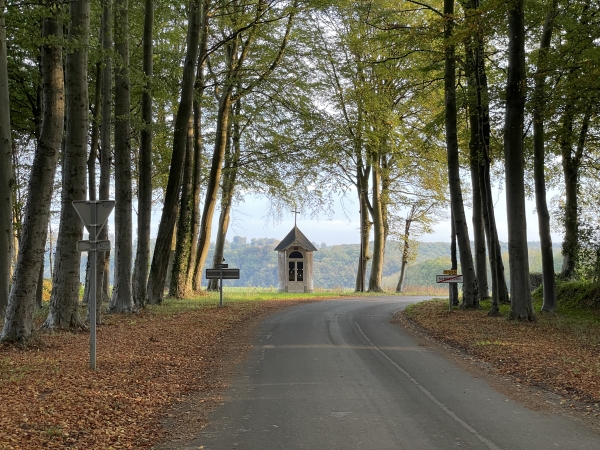 A la sortie de Sommesnil, la chapelle Notre-Dame-du-Mont-Carmel domine la vallée de la durdent. A l'intérieur, la statue de la Vierge Marie est entourée de saint Hippolyte et saint Joseph. Autrefois, on venait y solliciter la protection contre les orages. La chapelle appartient à la commune depuis 2014.