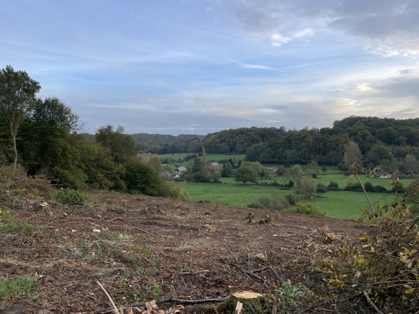 Une trouée dans la végétation permet d'apercevoir la vallée de la Durdent vers laquelle nous descendons.