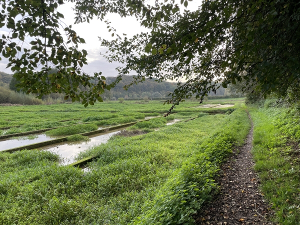 Le GR211 longe ici une ancienne cressionnière. Elle était encore active, il n'y a pas si longtemps.