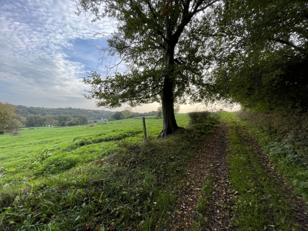 Nous quittons le GR211, et montons vers le plateau.