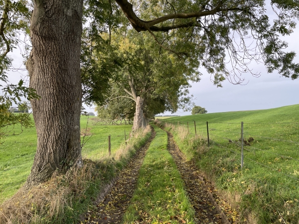Les paysages sont totalement différents de ceux que nous avions traversés pour commencer ce circuit.