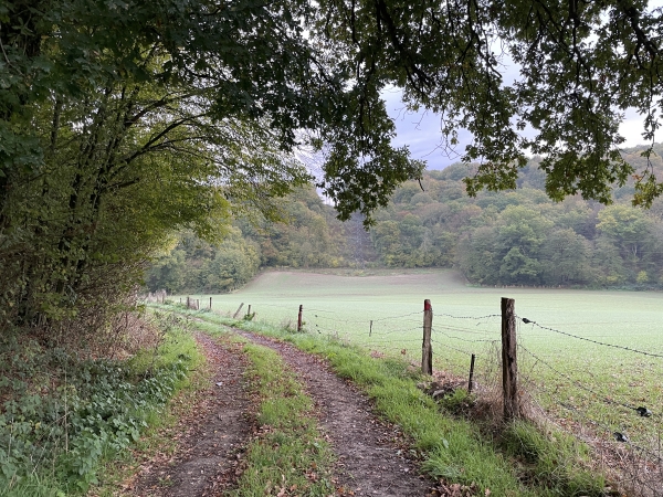 Le chemin domine ici la plaine du Camp Dieu que nous allons traverser avant de remonter en face.