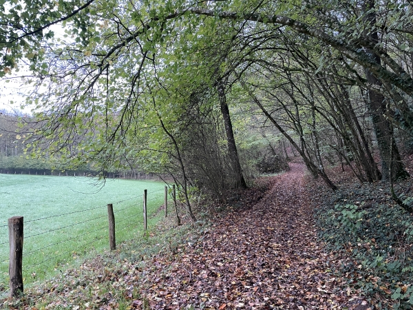 Nous montons dans le bois de la Cornouilleraie vers le hameau des Gournets. Ceux d'entre nous qui ne connaissaient pas ces chemins, sont déjà enchantés de ce début de randonnée !