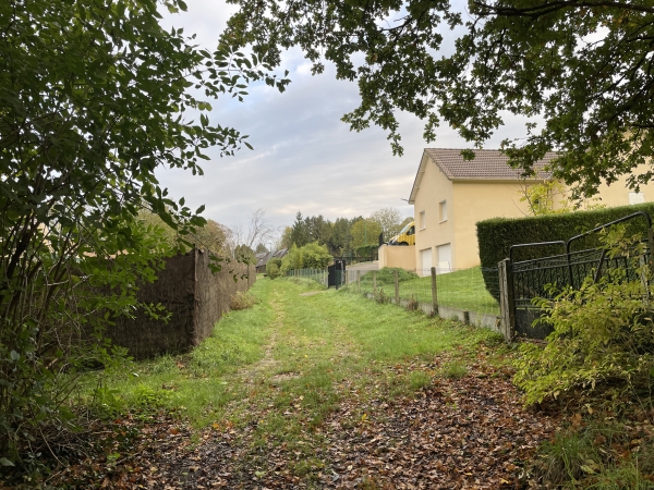 Nous sortons du bois et allons traverser le plateau des Gournets en direction de l'est.