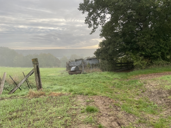 À la sortie des Gournets, nous retrouvons les chemins. Nous allons continuer tout droit pour descendre vers la vallée de l'Andelle.