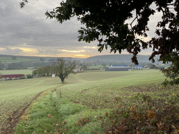Dès la sortie du bois, nous profitons du panorama sur la vallée de l'Andelle.