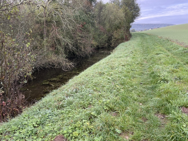 Voilà le bras de l'Andelle, nous allons le suivre sur ce chemin herbeux jusqu'à l'entrée de Fleury-sur-Andelle.