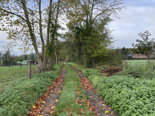 Nous restons au sud de la D149 sur ce chemin qui descend vers l'Andelle.