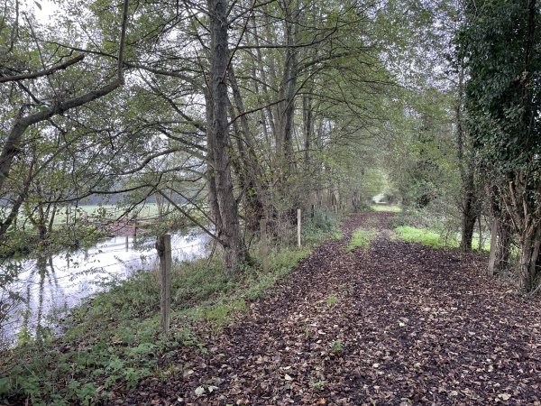 Nous retrouvons l'Andelle que nous suivons sur le chemin des marais. Nous sommes sur le parcours de pêche de la Mouche Charlevalaise.
