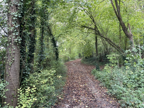 Après la ferme des Vaux, nous tournons vers le nord et montons dans le bois du Courbet.