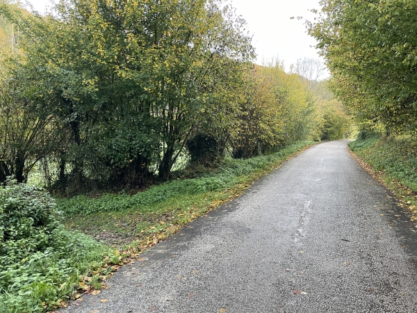 Nous quittons la route de Foulbec (totalement déserte pendant notre marche), pour tourner à gauche sur notre premier chemin.