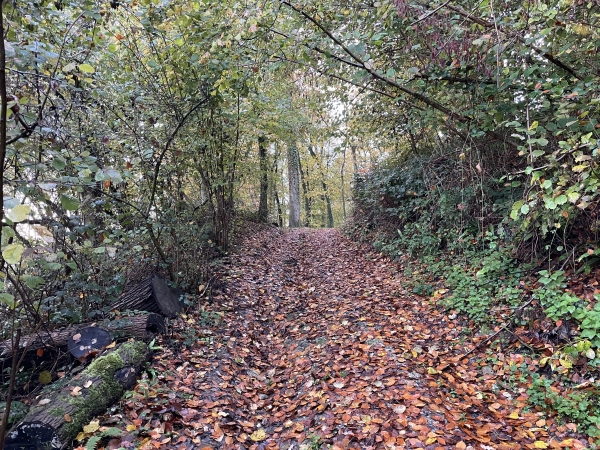 Nous montons vers le hameau du Petit Hébert.