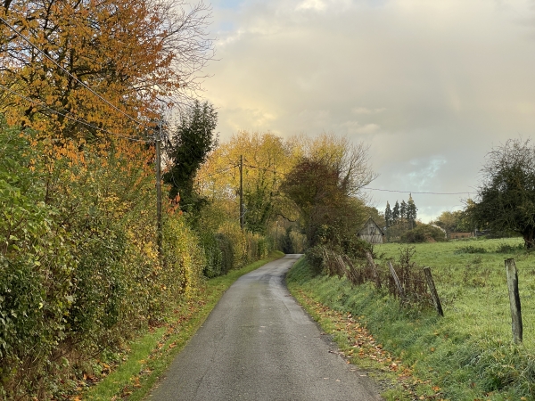 Nous marchons sur la route des Mariés. Entre deux nuages, le soleil illumine les feuillages d'automne.