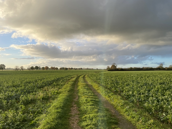 Nous traversons la plaine agricole de la Bruyère en direction du hameau des Vallées.