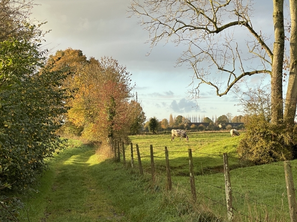 Plaine agricole de la Bruyère.